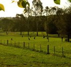 Stone Cottage Mittagong - Tourism Gold Coast