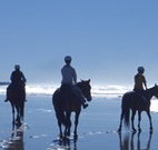 The Hayloft - Tourism Gold Coast