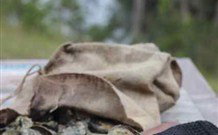 The Woods At Pokolbin - Tourism Gold Coast 3