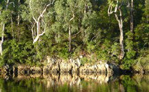 The Woods At Pokolbin - Tourism Gold Coast 5