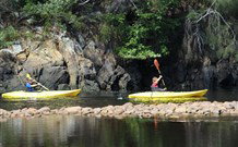 The Woods At Pokolbin - Tourism Gold Coast 6