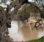 Valley View Cottage Hunter Valley - Tourism Gold Coast