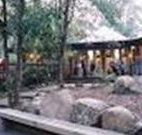 Williams River Holiday Park - Tourism Gold Coast