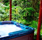 Wonga - Tourism Gold Coast