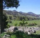Woolshed Hill Estate - Tourism Gold Coast