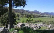 Woolshed Hill Estate - Tourism Gold Coast 0