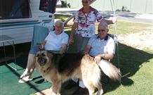 Yellowbox Country Cabins - Tourism Gold Coast 3