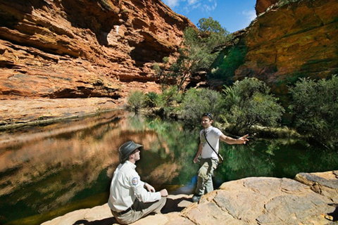 Kings Canyon Holiday Park - Tourism Gold Coast 8