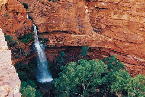 Kings Canyon Holiday Park - Tourism Gold Coast 9