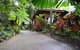 Cape Tribulation YHA - thumb 4