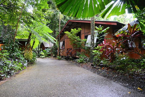 Cape Tribulation YHA - Tourism Gold Coast 4