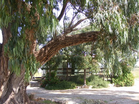 Coodlie Park - Port Kenny - Venus Bay - Tourism Gold Coast 4