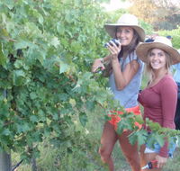 McLaren Vale Backpackers - Tourism Gold Coast