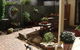 Bannockburn Lodge Homestay Accommodation - thumb 0