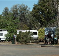 Evening Star Tourist Park - Tourism Gold Coast