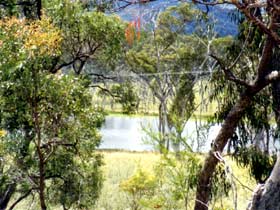 Accommodation Creek Cottages - Tourism Gold Coast 1