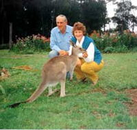 Bimbimbi and Little Hollow Farm Stay - Tourism Gold Coast
