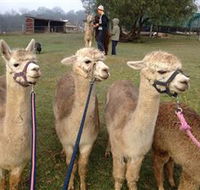 Bunyip Springs Farmstay - Tourism Gold Coast