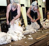 The Woolshed at Jondaryan Caravan and Camping - Tourism Gold Coast