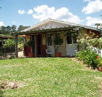 Bunnyconnellen Olive Grove and Vineyard - Tourism Gold Coast