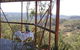 Blue Ridge Manor Bed And Breakfast - thumb 1