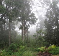 Arborlee Rainforest Retreat