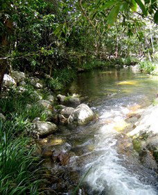 Sweetwater Lodge - Tourism Gold Coast 3