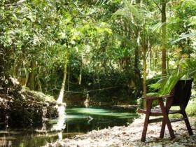 Daintree Wilderness Lodge - Tourism Gold Coast 1