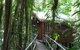 Daintree Wilderness Lodge - thumb 2