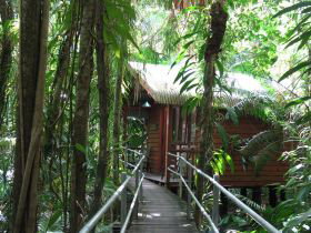 Daintree Wilderness Lodge - Tourism Gold Coast 2