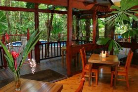Daintree Wilderness Lodge - Tourism Gold Coast 3