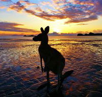 Cape Hillsborough Nature Tourist Park - Tourism Gold Coast