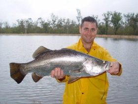 Mango Paradise Bed And Barra - Tourism Gold Coast 1