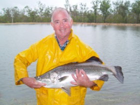 Mango Paradise Bed And Barra - Tourism Gold Coast 2