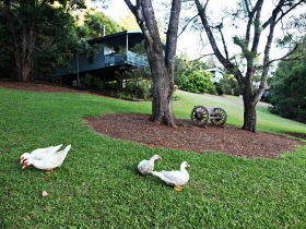 Montville Country Cabins - Tourism Gold Coast 1