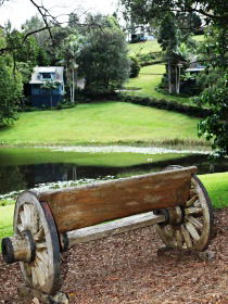 Montville Country Cabins - Tourism Gold Coast 3