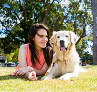 Jacobs Well Tourist Park - Tourism Gold Coast
