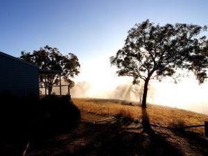 Yellowbox Country Cabins - Tourism Gold Coast 5