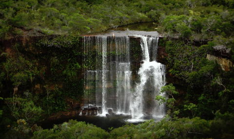 Haggerstone Island Resort - Tourism Gold Coast 6