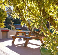 Best Western Alpine Motor Inn - Tourism Gold Coast