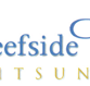 Reefside Villas - Tourism Gold Coast