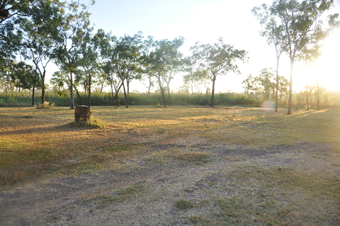 The Bark Hut Inn - Tourism Gold Coast 2