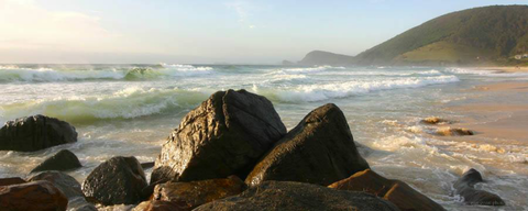 Pacific Palms Signature Properties - Tourism Gold Coast 13