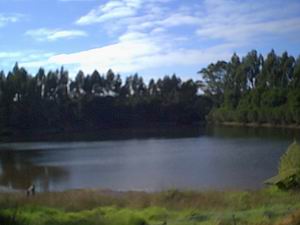 Jenny's Lake - Tourism Gold Coast 5