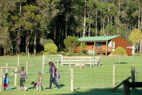 Diamond Forest Cottages Farmstay - Tourism Gold Coast 0