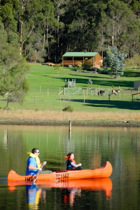 Diamond Forest Cottages Farmstay - Tourism Gold Coast 2