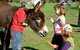 Diamond Forest Cottages Farmstay - thumb 3