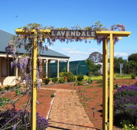 Lavendale Farmstay and Cottages - Tourism Gold Coast