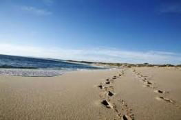 Kalbarri Palm Resort - Tourism Gold Coast 4