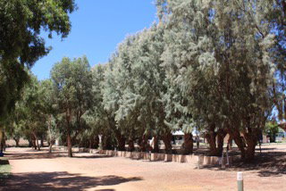 Horrocks Beach Caravan Park - Tourism Gold Coast 1